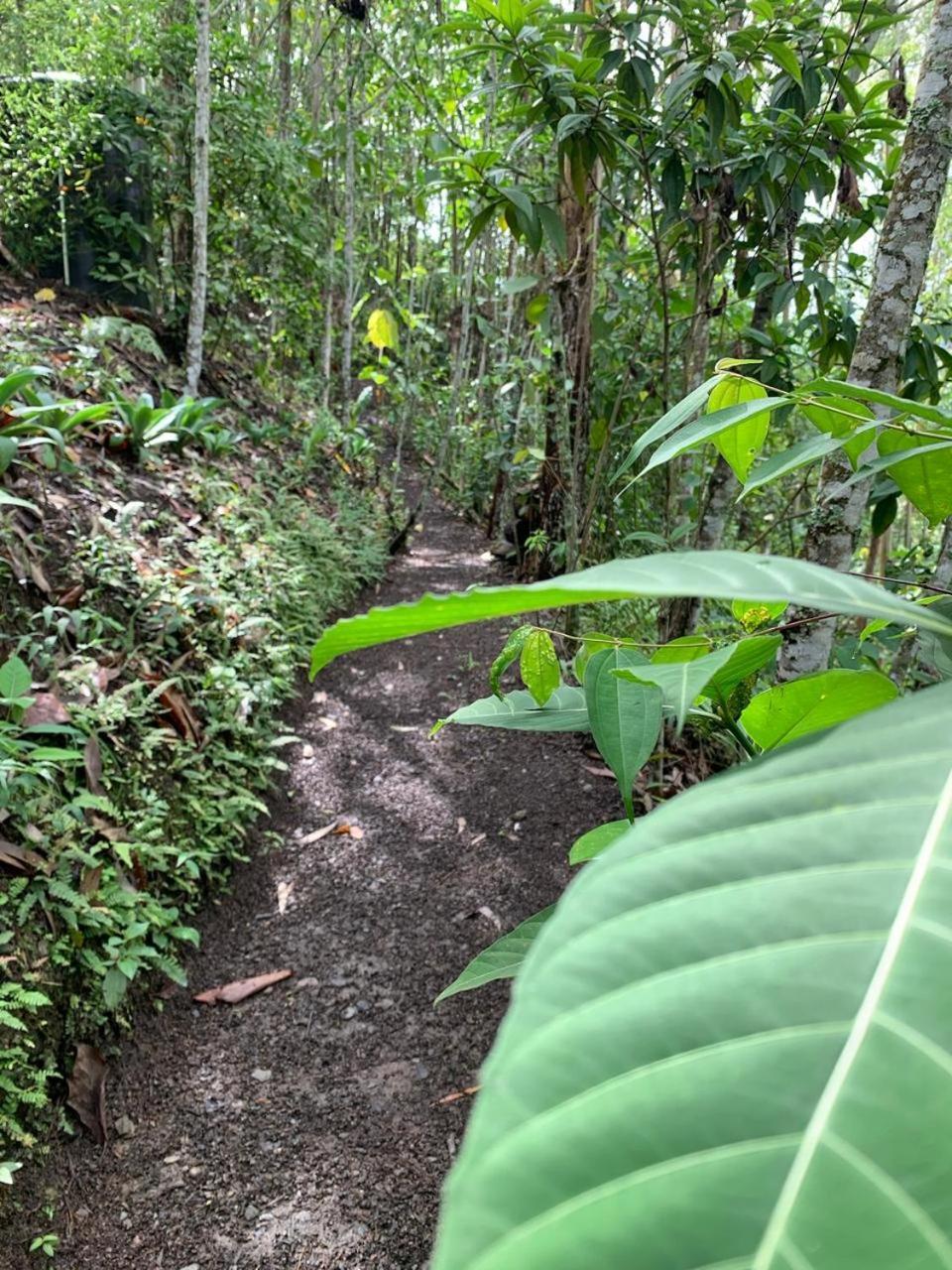 Chalé La Loma