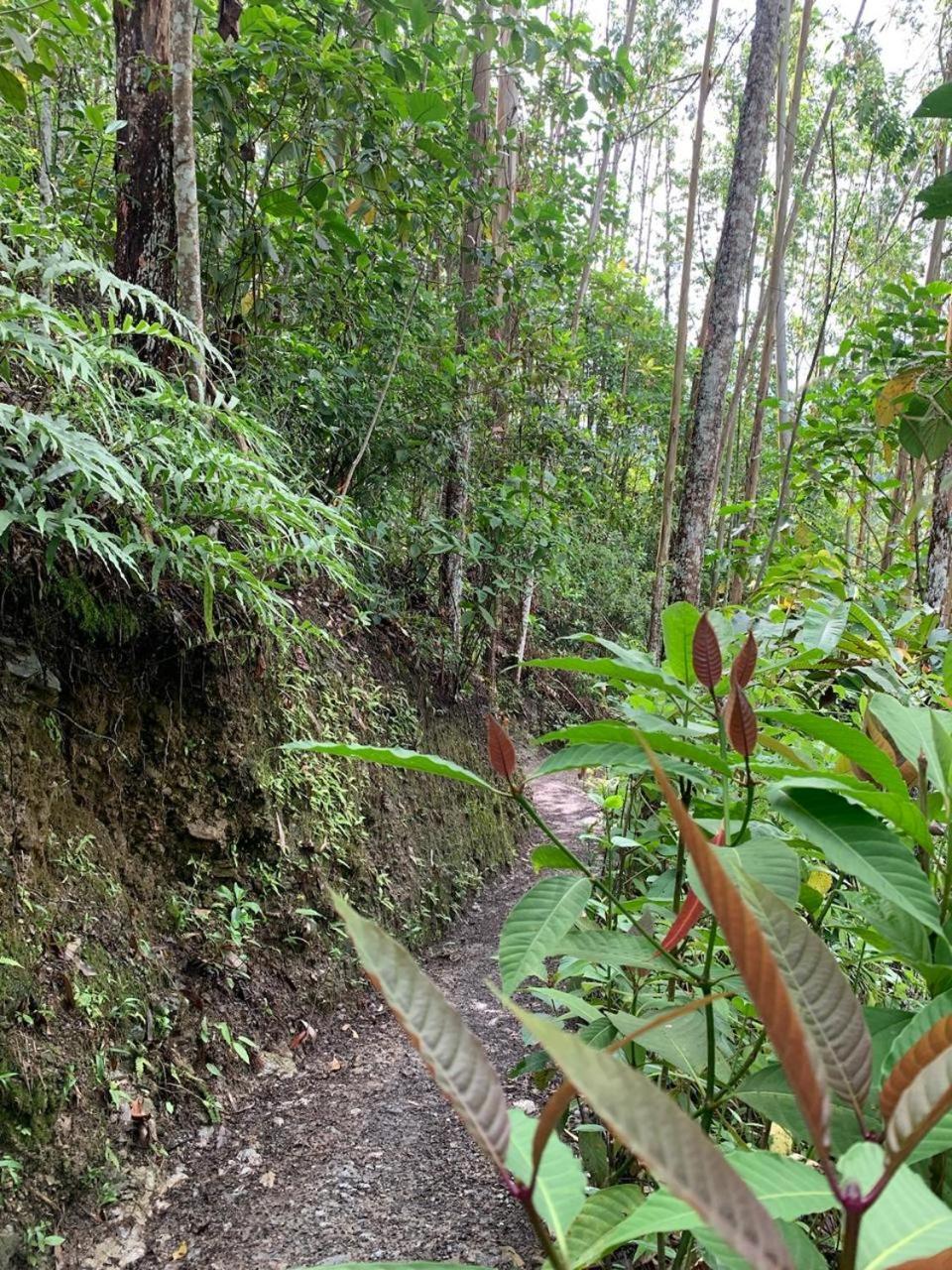 La Loma *